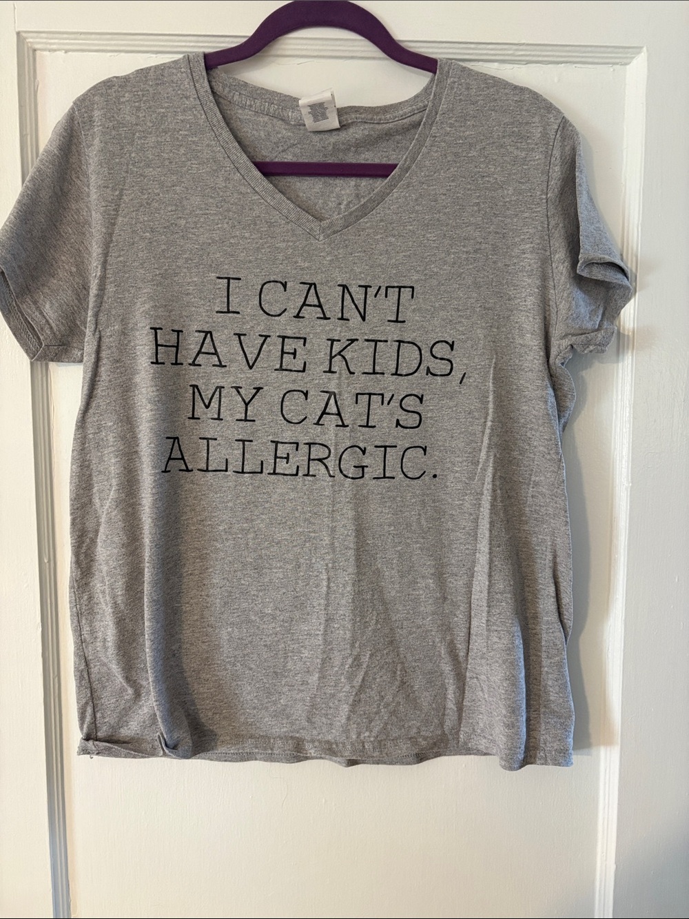 Grey Womens V-Neck Tee - "I Can't Have Kids, My Cat's Allergic."
